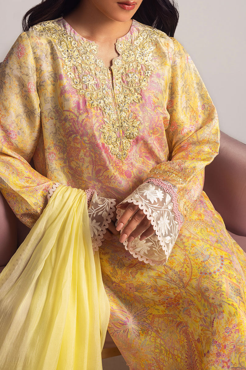 Aahana Shirt and Dupatta