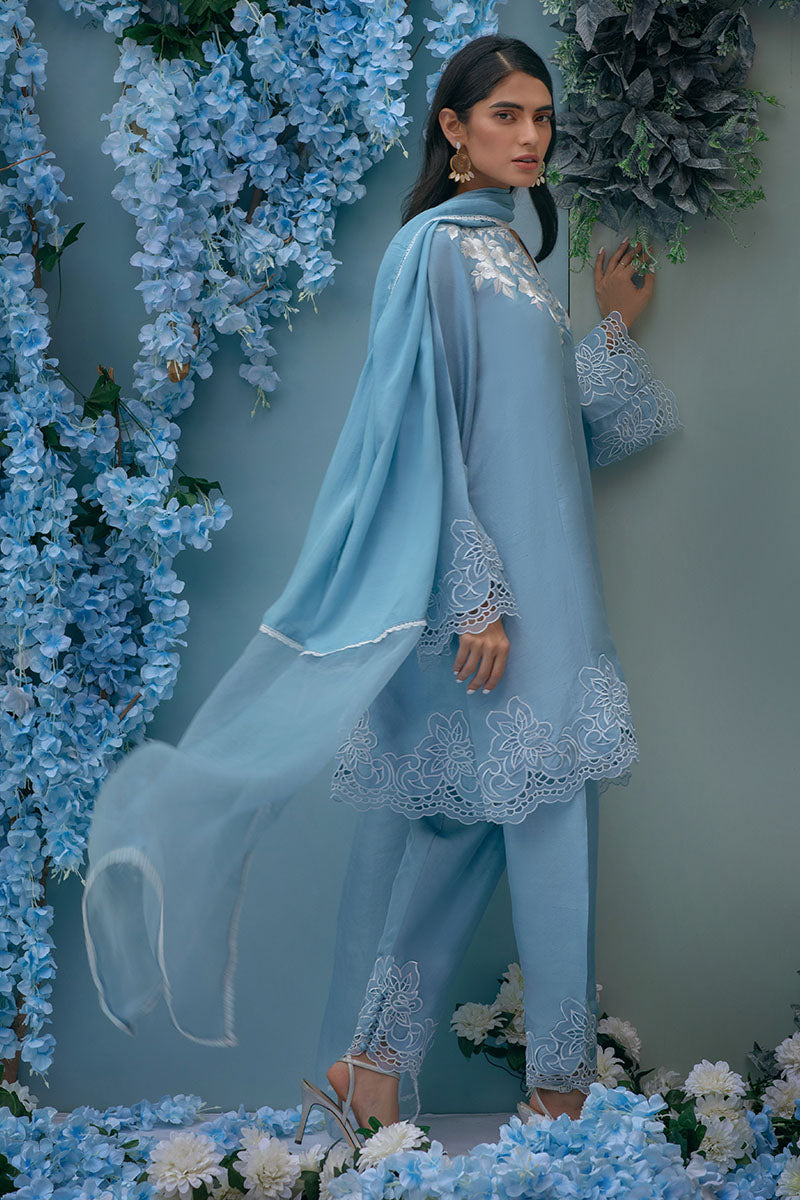 Periwinkle Dream