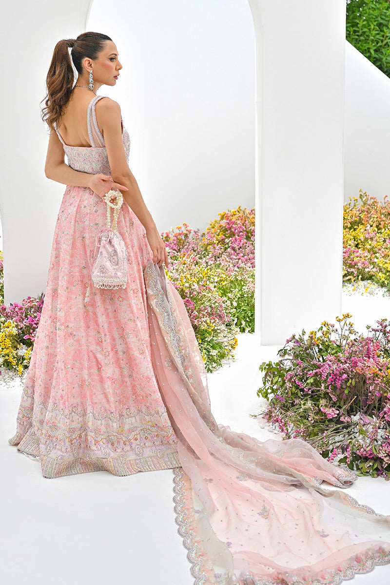 Flora