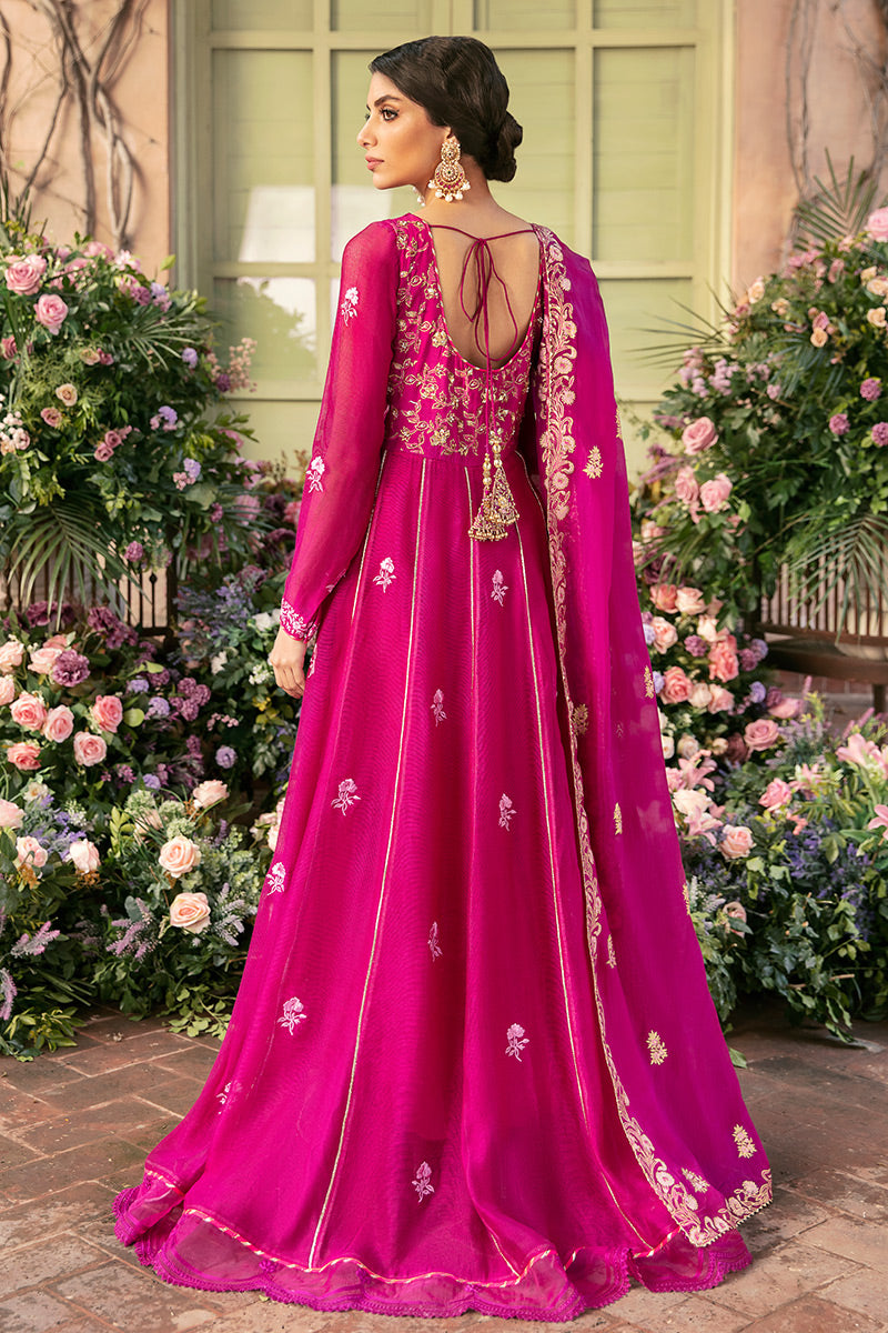 French Rose