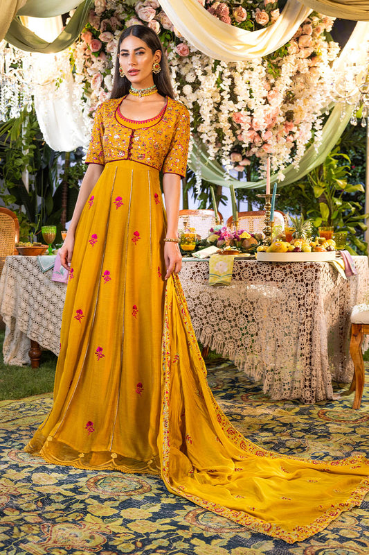 Apricot