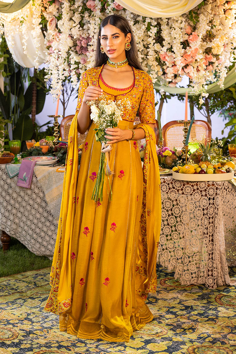 Apricot