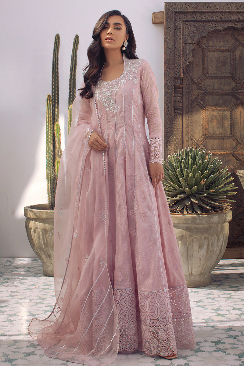 Enchanted Rose