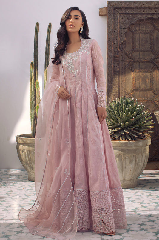 Enchanted Rose
