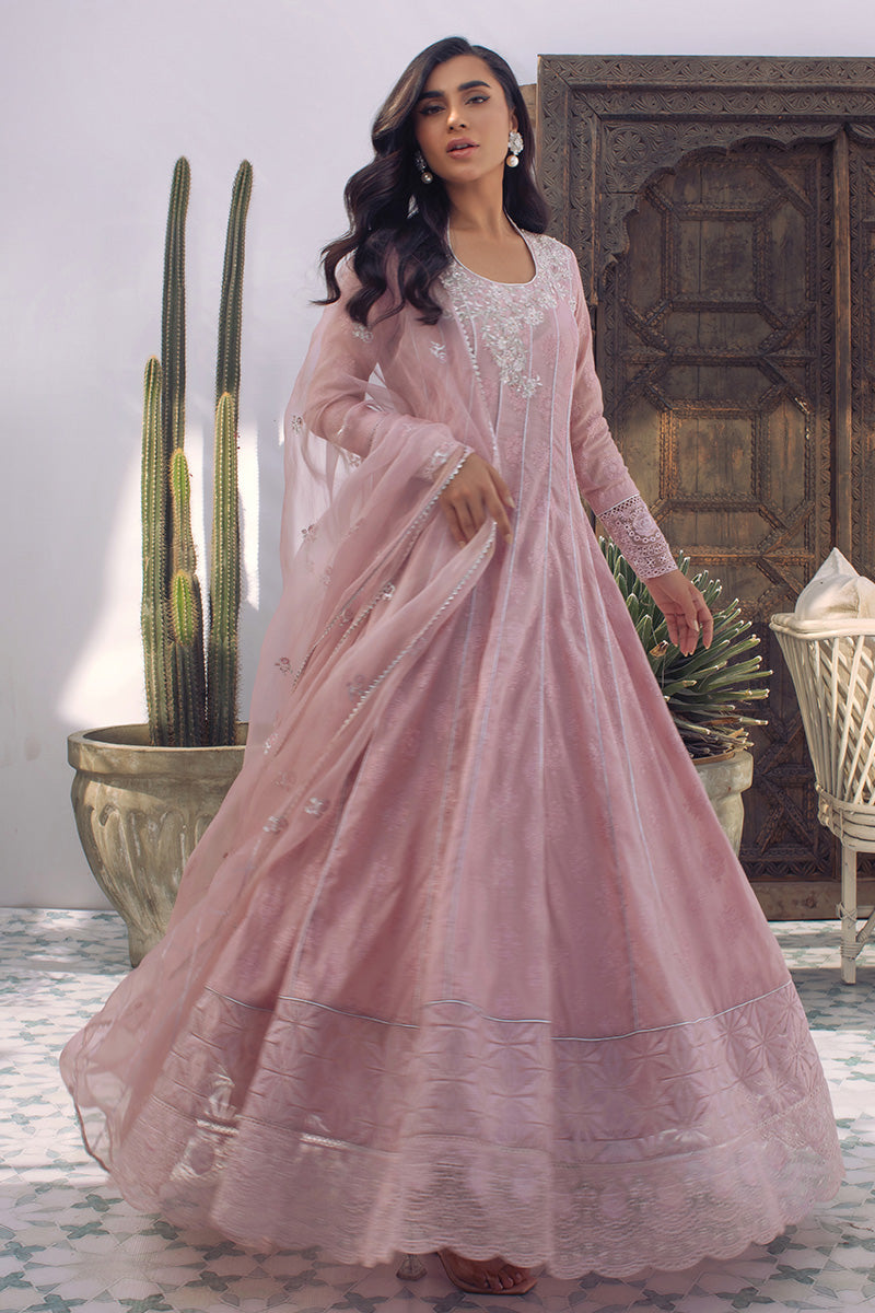 Enchanted Rose
