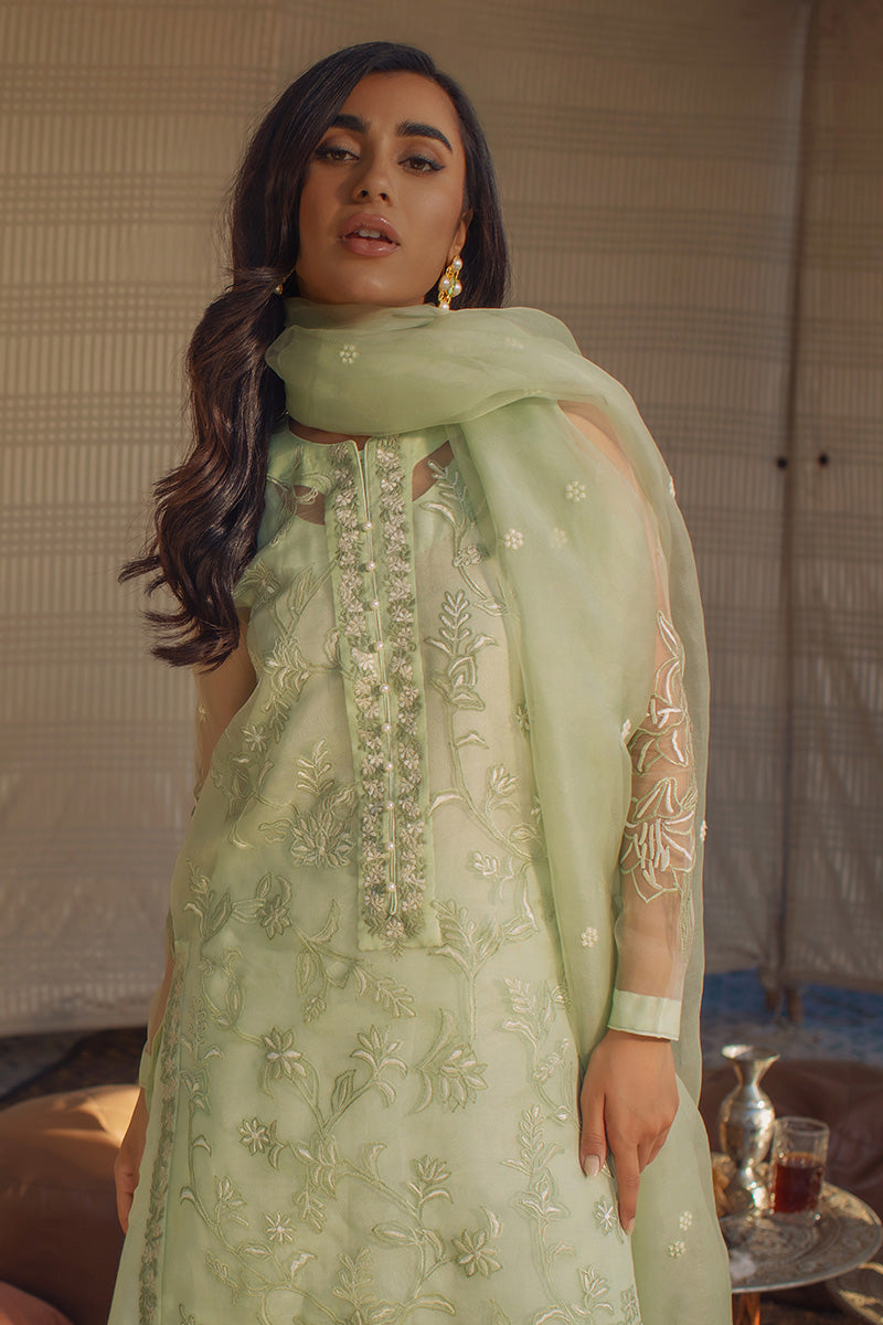 Mint Spring